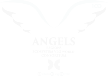 ANGELS VLG world