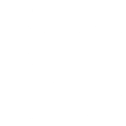 ANGELS VLG world